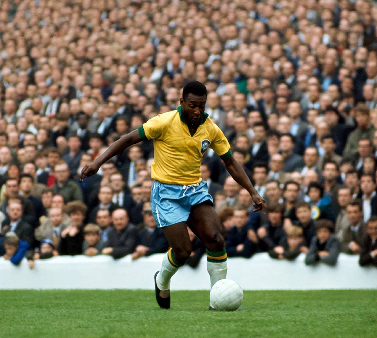 d以保枪线 d以保枪线